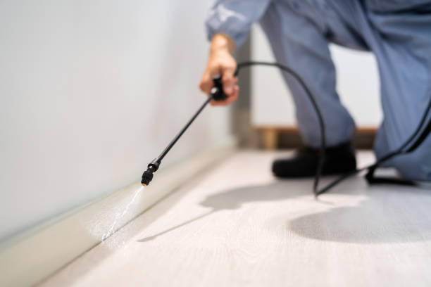 Licensed Termite Control service in Cedar Grove, FL - Nex Pest Control