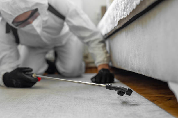 Professional Termite Control technician working in Cedar Grove, FL