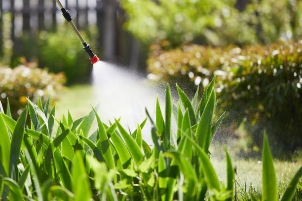 24/7 Emergency Termite Control experts in Cedar Grove, FL