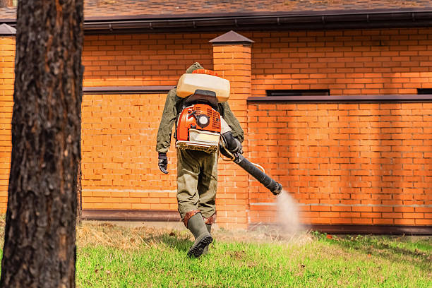 Trusted Ant Control service in Cedar Grove, FL - Nex Pest Control